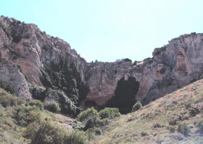 botorrita hiedra1