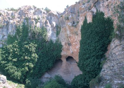 botorrita hiedra2